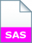 SAS Program File
